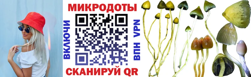Псилоцибиновые грибы MAGIC MUSHROOMS  Рыбное 